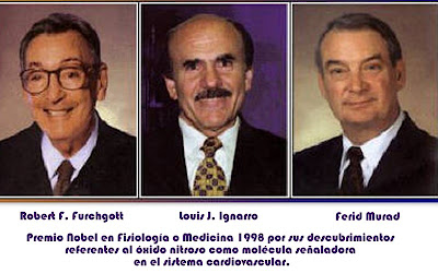 disfunción eréctil y regaliz